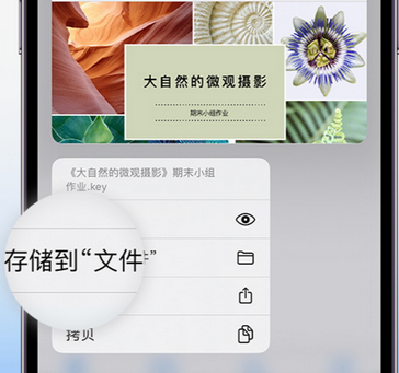 弥勒apple维修中心分享iPhone文件应用中存储和找到下载文件