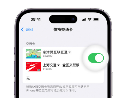 弥勒apple维修点分享iPhone上更换Apple Pay快捷交通卡手绘卡面 