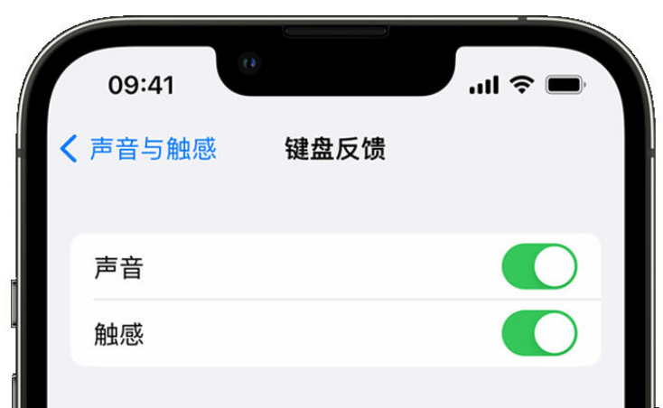 弥勒苹果手机维修分享iPhone 14触感键盘使用方法 