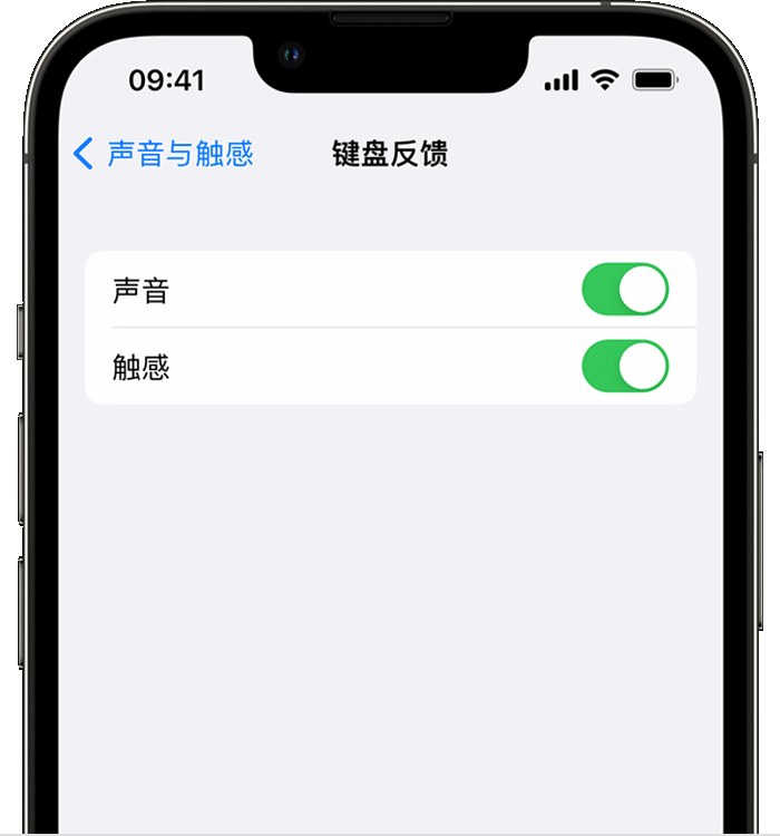 弥勒苹果14维修店分享如何在 iPhone 14 机型中使用触感键盘 