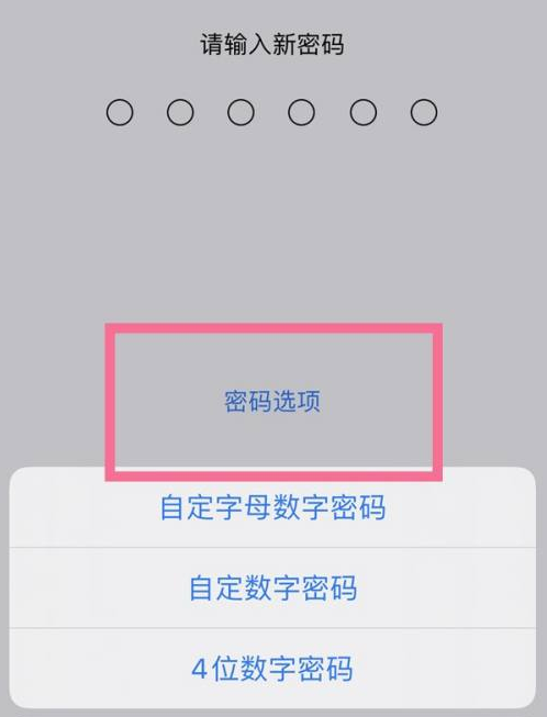 弥勒苹果14维修分享iPhone 14plus设置密码的方法 