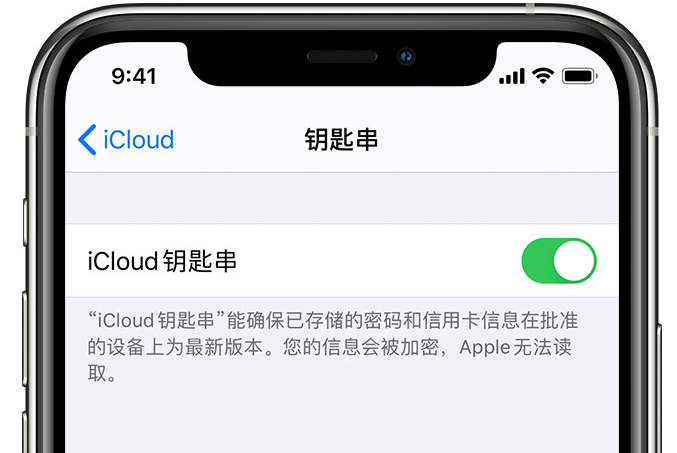 弥勒苹果手机维修分享在 iPhone 上开启 iCloud 钥匙串之后会储存哪些信息 